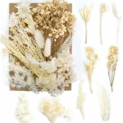 (blanc) Fleurs Séchées, Fleurs Naturelles Mélangées, Sets De Fleurs Séchées, Fleurs Naturelles Pressées Colorées Pour La Décoration De Bougies, L'artisanat, Le Scrapbooking, Les Marque-pages