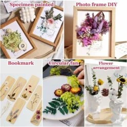 (blanc) Fleurs Séchées, Fleurs Naturelles Mélangées, Sets De Fleurs Séchées, Fleurs Naturelles Pressées Colorées Pour La Décoration De Bougies, L'artisanat, Le Scrapbooking, Les Marque-pages -Pas Cher Flore Calme Magasin 95628860 5