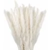 Lot De 30 Ornements En Herbe De Pampa Séchée, Fleurs Naturelles Séchées 70-75 Cm Blanc, Fleurs De Pampa Pour Salon, Chambre, Intérieur, Maison, Cuisine, Balcon (vase Non Inclus). -Pas Cher Flore Calme Magasin 95628933 1