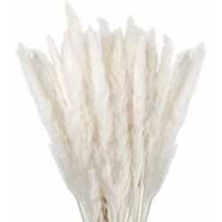 Lot De 30 Ornements En Herbe De Pampa Séchée, Fleurs Naturelles Séchées 70-75 Cm Blanc, Fleurs De Pampa Pour Salon, Chambre, Intérieur, Maison, Cuisine, Balcon (vase Non Inclus).