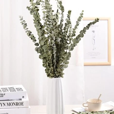 Lot De 12-14 Eucalyptus Naturels Séchés, Bouquet De Fleurs Naturelles Séchées De 40-60 Cm Pour La Décoration De La Chambre à Coucher, Du Salon, Du Couloir Et Du Balcon. 4 Lot De 12-14 Eucalyptus Naturels Séchés, Bouquet De Fleurs Naturelles Séchées De 40-60 Cm Pour La Décoration De La Chambre à Coucher, Du Salon, Du Couloir Et Du Balcon. – Image 2