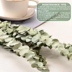 Lot De 12-14 Eucalyptus Naturels Séchés, Bouquet De Fleurs Naturelles Séchées De 40-60 Cm Pour La Décoration De La Chambre à Coucher, Du Salon, Du Couloir Et Du Balcon. 10 Lot De 12-14 Eucalyptus Naturels Séchés, Bouquet De Fleurs Naturelles Séchées De 40-60 Cm Pour La Décoration De La Chambre à Coucher, Du Salon, Du Couloir Et Du Balcon. -Pas Cher Flore Calme Magasin 95629026 4