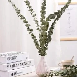Lot De 12-14 Eucalyptus Naturels Séchés, Bouquet De Fleurs Naturelles Séchées De 40-60 Cm Pour La Décoration De La Chambre à Coucher, Du Salon, Du Couloir Et Du Balcon. 11 Lot De 12-14 Eucalyptus Naturels Séchés, Bouquet De Fleurs Naturelles Séchées De 40-60 Cm Pour La Décoration De La Chambre à Coucher, Du Salon, Du Couloir Et Du Balcon. -Pas Cher Flore Calme Magasin 95629026 5
