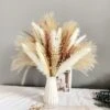 Lot De 80 Fleurs Séchées Pour La Décoration, Bouquet De Fleurs Séchées Naturelles Pampa Blanche Pour La Décoration Décoration Bohème Pour La Maison, Le Mariage, Les Vacances, La Fête -Pas Cher Flore Calme Magasin 95629047 1