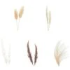69 PièCes SéRies DéCoration D'Herbes De Pampa SéChéEs Naturelles, Bouquet De Compositions De Fleurs De Pampa SéChéEs -Pas Cher Flore Calme Magasin 96143348 1