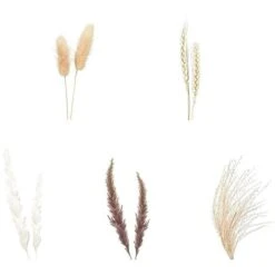 69 PièCes SéRies DéCoration D'Herbes De Pampa SéChéEs Naturelles, Bouquet De Compositions De Fleurs De Pampa SéChéEs