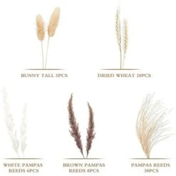 69 PièCes SéRies DéCoration D'Herbes De Pampa SéChéEs Naturelles, Bouquet De Compositions De Fleurs De Pampa SéChéEs -Pas Cher Flore Calme Magasin 96143348 3