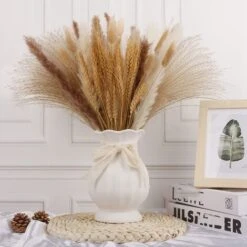 69 PièCes SéRies DéCoration D'Herbes De Pampa SéChéEs Naturelles, Bouquet De Compositions De Fleurs De Pampa SéChéEs -Pas Cher Flore Calme Magasin 96143348 4