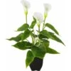Simulation De Grandes Plantes En Pot De Lys Calla, Cadeaux Créatifs 1 Simulation De Grandes Plantes En Pot De Lys Calla, Cadeaux Créatifs -Pas Cher Flore Calme Magasin 97484749 1