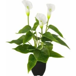 Simulation De Grandes Plantes En Pot De Lys Calla, Cadeaux Créatifs