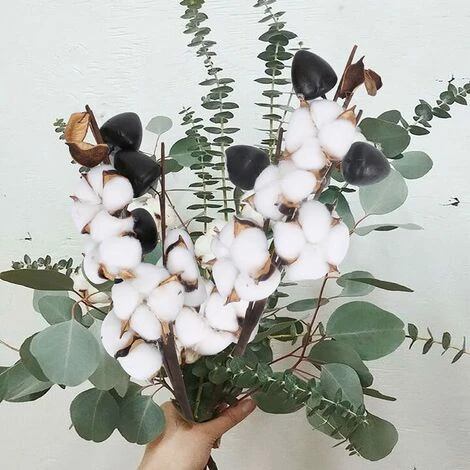 Fleurs De Coton Séchées 3Pcs Branche Coton Artificielle 5 Têtes Coton Bouquet De Fleurs Sechees Naturelle Fausses Tige De Coton Branche Decorative Pour Vase Cadeau Mariage Noce De Coton Table 7 Fleurs De Coton Séchées 3Pcs Branche Coton Artificielle 5 Têtes Coton Bouquet De Fleurs Sechees Naturelle Fausses Tige De Coton Branche Decorative Pour Vase Cadeau Mariage Noce De Coton Table – Image 5