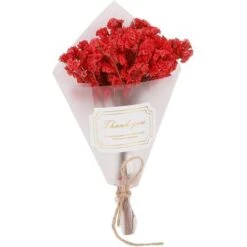 Tarente Bouquet Mini Fleurs Séchées Naturelles Fleurs De Mariage Décoration Props Photo (Rouge)