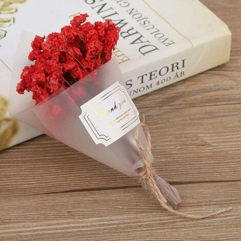 Tarente Bouquet Mini Fleurs Séchées Naturelles Fleurs De Mariage Décoration Props Photo (Rouge) 7 Tarente Bouquet Mini Fleurs Séchées Naturelles Fleurs De Mariage Décoration Props Photo (Rouge) – Image 5