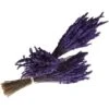 Experience, Lot De 3 Bouquets De Fleurs Naturelles De Lavande Préservées De Culture écologique, De Fabrication Artisanale Et De Première Qualité. -Pas Cher Flore Calme Magasin 97502943 1