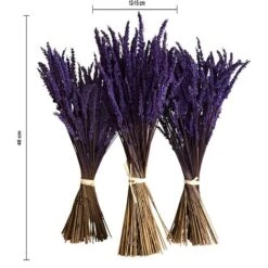 Experience, Lot De 3 Bouquets De Fleurs Naturelles De Lavande Préservées De Culture écologique, De Fabrication Artisanale Et De Première Qualité. -Pas Cher Flore Calme Magasin 97502943 3