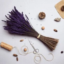 Experience, Lot De 3 Bouquets De Fleurs Naturelles De Lavande Préservées De Culture écologique, De Fabrication Artisanale Et De Première Qualité. -Pas Cher Flore Calme Magasin 97502943 4