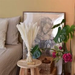 30 Pièces D'herbe De Pampa, Décoration D'herbe De Pampa (blanc) -Pas Cher Flore Calme Magasin 97527323 3