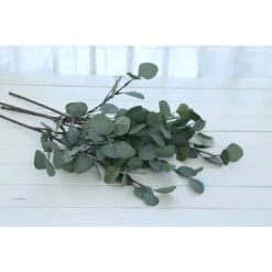 Guirlande D'Eucalyptus Artificielle Longues Feuilles De Dollar En Argent Plantes À Feuillage Plantes À Feuillage Branches En Plastique Artificielles Arbustes De Verdure 9 Guirlande D'Eucalyptus Artificielle Longues Feuilles De Dollar En Argent Plantes À Feuillage Plantes À Feuillage Branches En Plastique Artificielles Arbustes De Verdure -Pas Cher Flore Calme Magasin 97554202 3