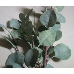 Guirlande D'Eucalyptus Artificielle Longues Feuilles De Dollar En Argent Plantes À Feuillage Plantes À Feuillage Branches En Plastique Artificielles Arbustes De Verdure 10 Guirlande D'Eucalyptus Artificielle Longues Feuilles De Dollar En Argent Plantes À Feuillage Plantes À Feuillage Branches En Plastique Artificielles Arbustes De Verdure -Pas Cher Flore Calme Magasin 97554202 4