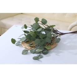 Guirlande D'Eucalyptus Artificielle Longues Feuilles De Dollar En Argent Plantes À Feuillage Plantes À Feuillage Branches En Plastique Artificielles Arbustes De Verdure 11 Guirlande D'Eucalyptus Artificielle Longues Feuilles De Dollar En Argent Plantes À Feuillage Plantes À Feuillage Branches En Plastique Artificielles Arbustes De Verdure -Pas Cher Flore Calme Magasin 97554202 5