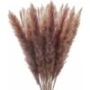 30 Pcs Pampa Herbe Naturelle Roseau Plume Fleurs Séchées Phragmites Bouquet Grand Real Touch Plumes Naturelles Pour Ferme Bureau Chambre Mariage Décor Rustique (17 Pouces) -Pas Cher Flore Calme Magasin 97633018 1