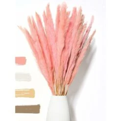 Herbe De Pampa Moelleuse Séchée 15 Pièces - Fleurs Séchées - Naturelles, Durables Et Faciles à Nettoyer - Décoration élégante