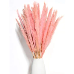 Herbe De Pampa Moelleuse Séchée 15 Pièces - Fleurs Séchées - Naturelles, Durables Et Faciles à Nettoyer - Décoration élégante -Pas Cher Flore Calme Magasin 97727145 3