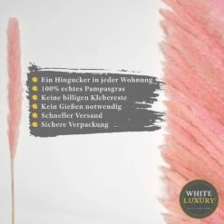 Herbe De Pampa Moelleuse Séchée 15 Pièces - Fleurs Séchées - Naturelles, Durables Et Faciles à Nettoyer - Décoration élégante -Pas Cher Flore Calme Magasin 97727145 4