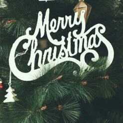 Paquet De 60 Branches D'aiguille De Pin Vert Faux Petites Tiges De Branche De Pin Pour La Décoration De Guirlande De Noël Maison Vacances Jardin 10 Paquet De 60 Branches D'aiguille De Pin Vert Faux Petites Tiges De Branche De Pin Pour La Décoration De Guirlande De Noël Maison Vacances Jardin -Pas Cher Flore Calme Magasin 97737679 4