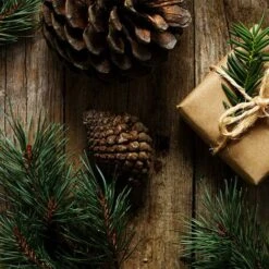 Paquet De 60 Branches D'aiguille De Pin Vert Faux Petites Tiges De Branche De Pin Pour La Décoration De Guirlande De Noël Maison Vacances Jardin 11 Paquet De 60 Branches D'aiguille De Pin Vert Faux Petites Tiges De Branche De Pin Pour La Décoration De Guirlande De Noël Maison Vacances Jardin -Pas Cher Flore Calme Magasin 97737679 5