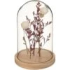 Fleurs Séchées Sous Cloche Gypsy H17 Cm - Atmosphera Créateur D'intérieur 2 Fleurs Séchées Sous Cloche Gypsy H17 Cm - Atmosphera Créateur D'intérieur -Pas Cher Flore Calme Magasin 98553469 1