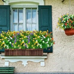 8 Bouquets Fleurs Artificielles Deco, 4 Couleurs UV Résistant Bouquet En Plastique Fleurs Buissons De Fleurs Plantes Suspendues Plantes Artificielles Pour Maison Balcon Jardin Extérieur 9 8 Bouquets Fleurs Artificielles Deco, 4 Couleurs UV Résistant Bouquet En Plastique Fleurs Buissons De Fleurs Plantes Suspendues Plantes Artificielles Pour Maison Balcon Jardin Extérieur -Pas Cher Flore Calme Magasin 98898857 3